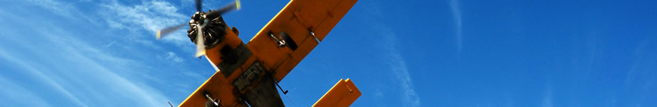 ICLRD Training Rotating Header Image